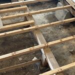 和室で見かける害虫と、予防・駆除方法　その2